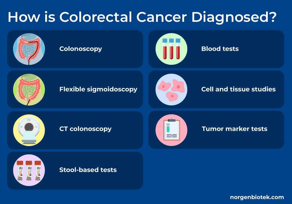 Visual representation of diagnostic methods for colorectal cancer, including colonoscopy, flexible sigmoidoscopy, stool-based tests, blood tests, tumor marker tests, and cell and tissue studies.